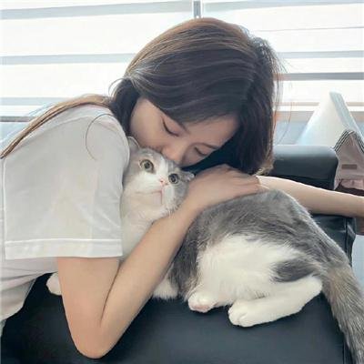 上海迷雾